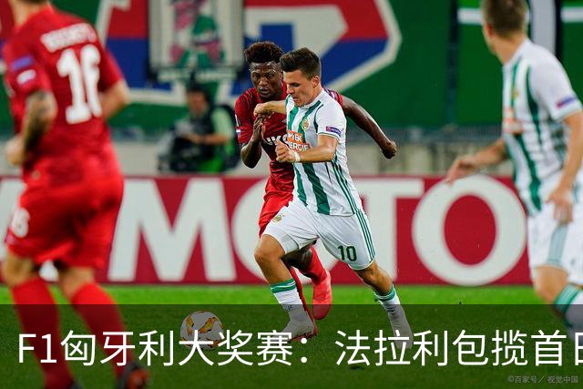 F1匈牙利大奖赛：法拉利包揽首日两次练习赛头名